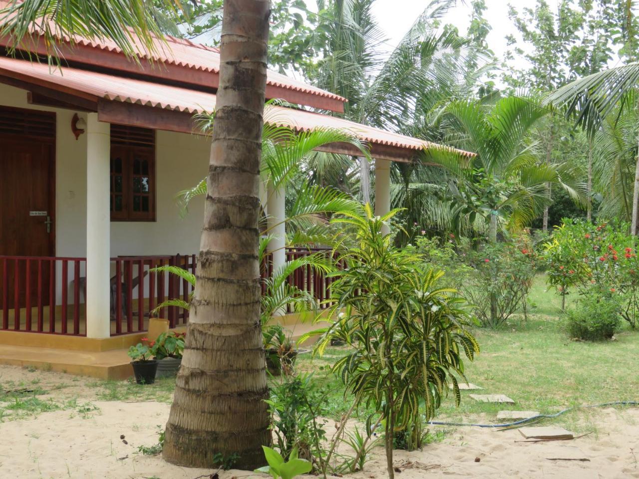 Beach Lagoon Guesthouse Тангалла Экстерьер фото