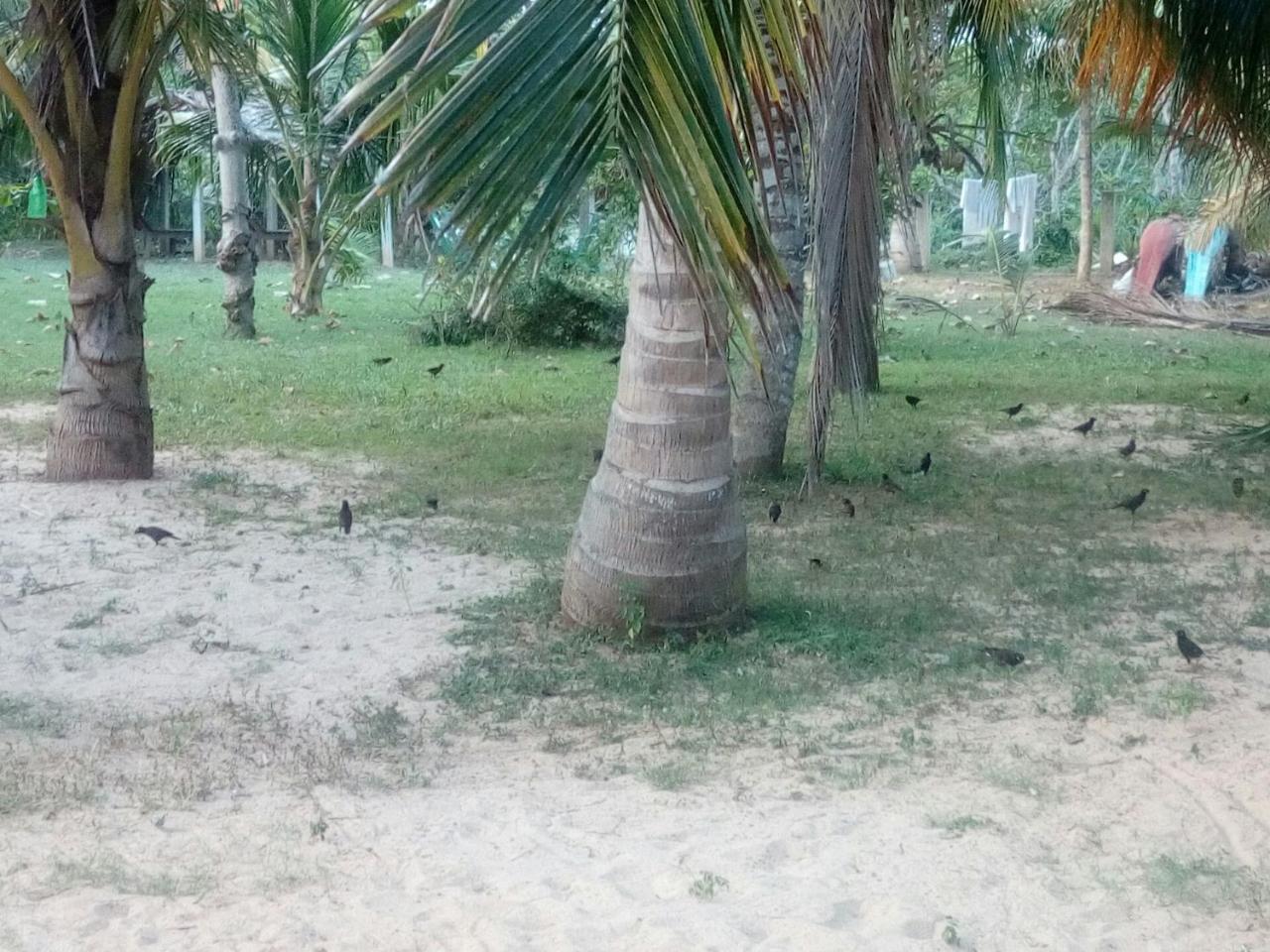 Beach Lagoon Guesthouse Тангалла Экстерьер фото